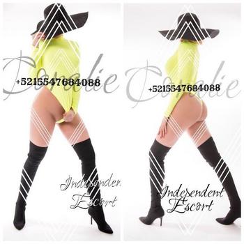 +5215547684088, Latino/Hispanic female escort, Mexico-city